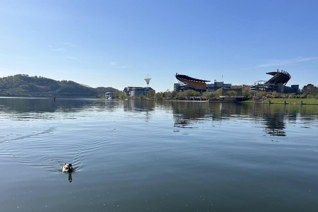 Sprawling Stadium Views Wonderful Location 24-7 Parking Gym Lounge Pittsburgh Extérieur photo